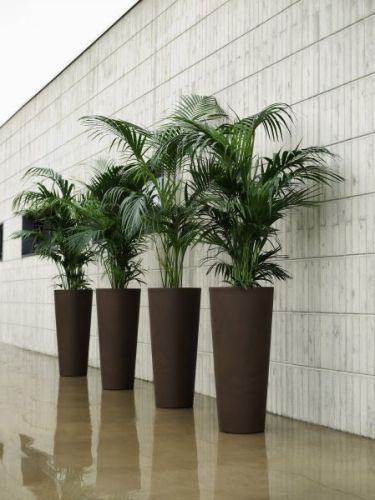 Urban Tall Round Planter | Passion For Pots | Tall Potted Plants, Courtyard Gardens Design, Green Ideas, Potted Plants Outdoor, Balcony Plants, Tall Planters, Urban Furniture, Interior Plants, Office Plants