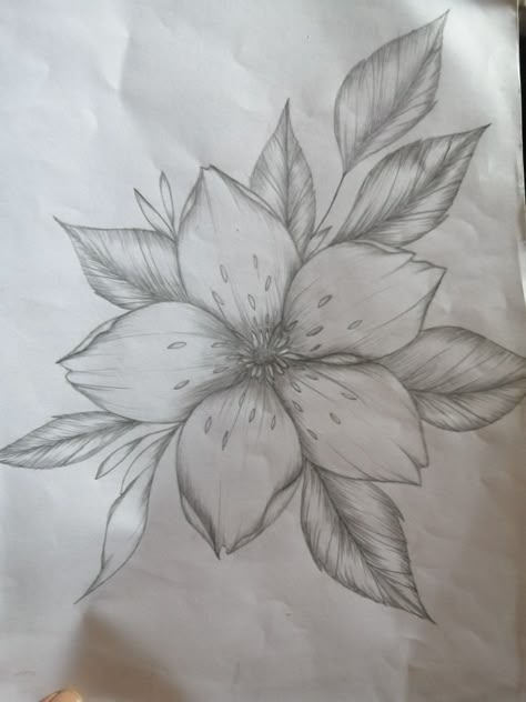 Small Details To Add To Drawings, Flower Art Drawing Sketches Ideas, Anime Flower Drawing, Easy Flower Sketches For Beginners, Beautiful Flowers Drawing Sketches, Flower Sketches Easy, Flower Pencil Drawings, Easy Flower Sketches, Flower Sketch Pencil