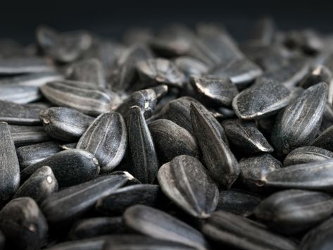 Black Oil Sunflower, Up Background, Black Oil Sunflower Seeds, Black Sunflower, Bean Seeds, Flowers Wallpapers, Flower Nature, Black Oil, Wildflower Seeds