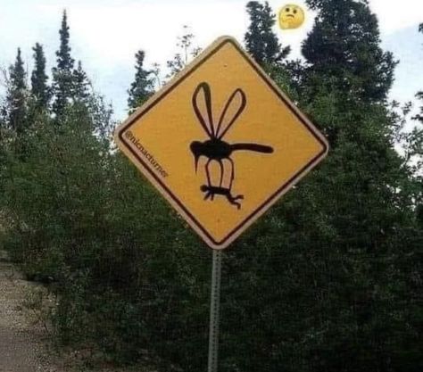 Mosquito Meme, Beautiful Alien, Sign Meaning, Weekday Quotes, Fun Signs, Alien Planet, Reaction Pic, Smiles And Laughs, Baby Jesus