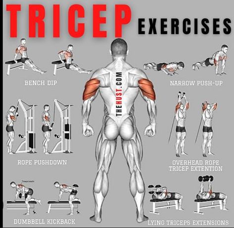 Tricep Exercises, Bicep And Tricep Workout, Beginner Workouts, Bodybuilding Workout Plan, Gym Workout Chart, Gym Workouts For Men, Trening Fitness, Weight Training Workouts, Body Workout Plan