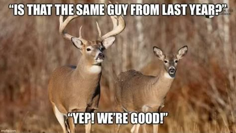 Hunting Meme, Funny Hunting Pics, Hunting Quotes Funny, Deer Hunting Humor, Hunting Jokes, Deer Whitetail, Hunting Quotes, Funny Deer, Funny Hunting