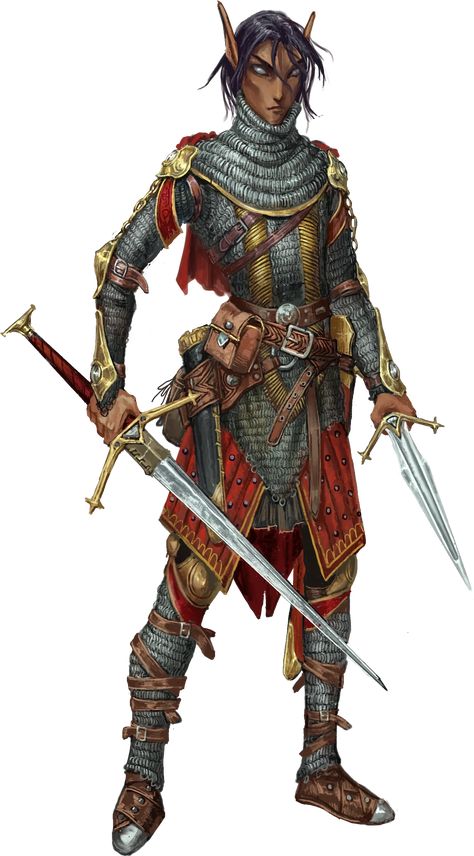 Elf Rouge, Pathfinder Elf, Arcane Archer, Fighter Dnd, Dnd Fighter, Dragons Inspiration, Pathfinder Rpg Characters, Dnd Board, Pathfinder 2e