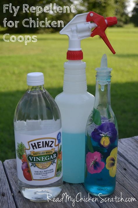 Dish Soap, Vinegar, And Water Fly Spray | How To Get Rid Of Flies | Natural And Homemade Fly Repellents Diy Fly Repellent, Diy Flies Repellent, Get Rid Of Flies, Fly Spray, Chicken Life, Best Chicken Coop, Coops Diy, Fly Repellant, Crazy Chicken Lady