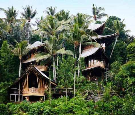 Ananda House, IBUKU, IBUKU indonesia, IBUKU bamboo villages, bamboo architecture, bamboo architecture, bamboo hotels, bamboo building materials, off grid retreats, bamboo houses, green materials, sustainable materials, locally-sourced materials, stone countertops, House In Bali, Bali Architecture, Bamboo Roof, Bamboo Building, Bamboo House Design, Jungle House, Bamboo Structure, Bamboo Architecture, Bamboo House