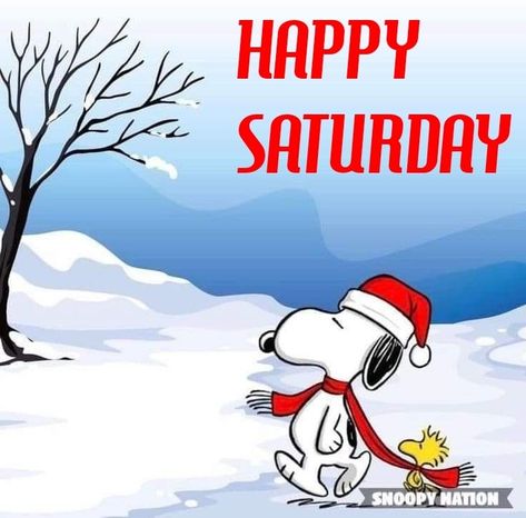 Saturday Christmas, Snowy Saturday, Its Saturday, Fireplace Pictures, Saturday Quotes, Snoopy Images, Snoopy Pictures, Snoopy Friends, Days Of The Year