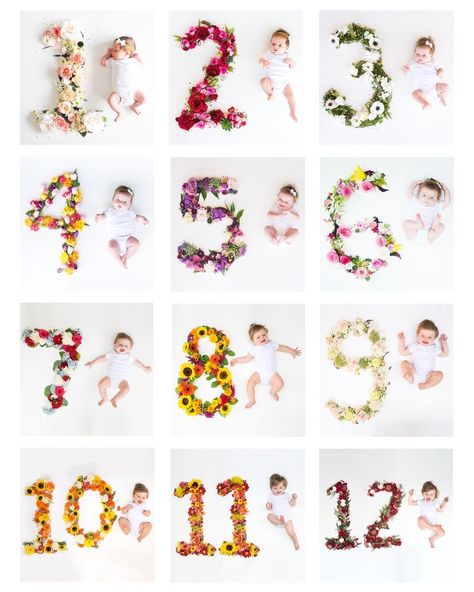 Flower Monthly Milestone Pictures, Flower Milestone Pictures, 3 Month Old Baby Pictures Ideas, Newborn Monthly Pictures, One Month Pictures, Baby Milestones Pictures, One Month Baby, Monthly Pictures, Monthly Baby Pictures