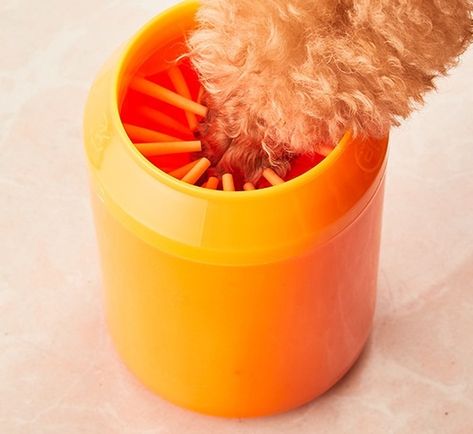 16 Weird Things That Are Strangely Popular. Cleaning Bucket, Washer Cleaner, Cleaning Buckets, Paw Cleaner, Small Scarf, Unusual Things, Weird Things, Robot Vacuum Cleaner, Cat Supplies