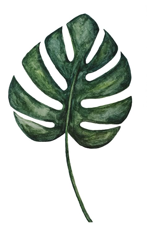 Watercolor Monstera Leaf Monstera Watercolor, Plants Watercolor, Leaf Illustration, Watercolor Plants, Plant Wallpaper, Watercolor Trees, Plant Illustration, Leaf Wallpaper, Watercolour Tutorials