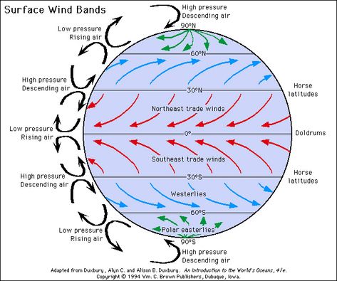 Atmospheric Circulation, Basic Geography, Upsc Notes, Ias Study Material, Aviation Education, Weather Science, Geography Activities, Physical Geography, Geography Map