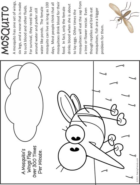 Mosquito Coloring Page Insects For Kids, Butterflies Activities, Super Mario Coloring Pages, Bug Coloring Pages, Bugs Preschool, Easter Bunny Colouring, Choose Her, Insect Crafts, Insects Theme