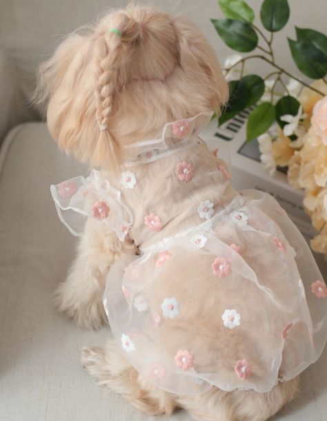 Cute Pet Outfits, Coquette Dog Clothes, Cat Dress Pattern, Cat Clothes Pattern, Cute Dog Outfits, Puppy Clothes Girl, Pet Outfits, Dog Fashion Clothes, Dog Dress Pattern