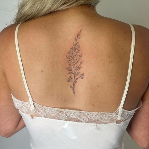 madalyn on Instagram: "@alanamartinson first tattoo !! some babies breath and astilbe in the prettiest placement ever 💐 #handpoke #handpokes #handpoked #handpoketattoo #handpokedtattoo #handpoketattoos #handpokers #handpokeartist #stickandpoke #machinefree #machinefreetattoo #queertattooer #queertattooartist #qttr #queertattooing #botanicaltattoo #botanicalart #botanicalillustration #babiesbreath #floralbouquet" Astilbe Tattoo, Baby Breath Bouquet Tattoo, Baby Breath Tattoo, Mum Tattoo, Bouquet Tattoo, Flower Tattoo Arm, Hand Poked Tattoo, Sternum Tattoo, Arm Tattoos For Women