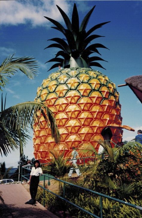 Big Pineapple, Sunshine Coast Sunshine Coast Australia, Big Pineapple, Queensland Australia, Cairns, Roadside Attractions, Sunshine Coast, Jolie Photo, Queensland, Australia Travel