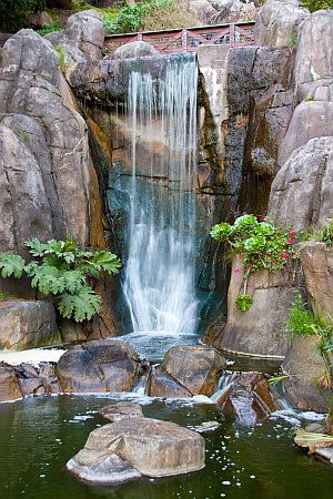 Tropical Koi Pond Design, Koi Fish Pond House Entrance, Park With Pond, Pond Surrounded By Trees, Waterfall Landscaping, Backyard Waterfall, Kolam Air, Diy Waterfall, Indoor Water Features