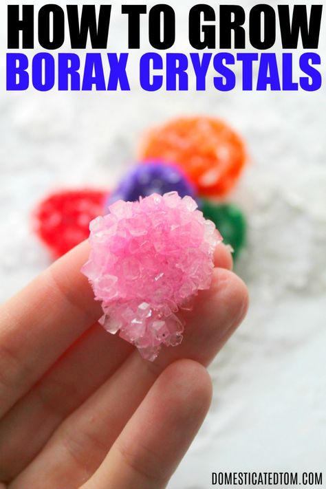 Grow Your Own Crystals Diy, Crystal Growing Experiment, Growing Crystals Science Project, Science Experience For Kids, Diy Borax Crystals, Homemade Crystals, Borax Crafts, Borax Crystals Diy, Crystals At Home