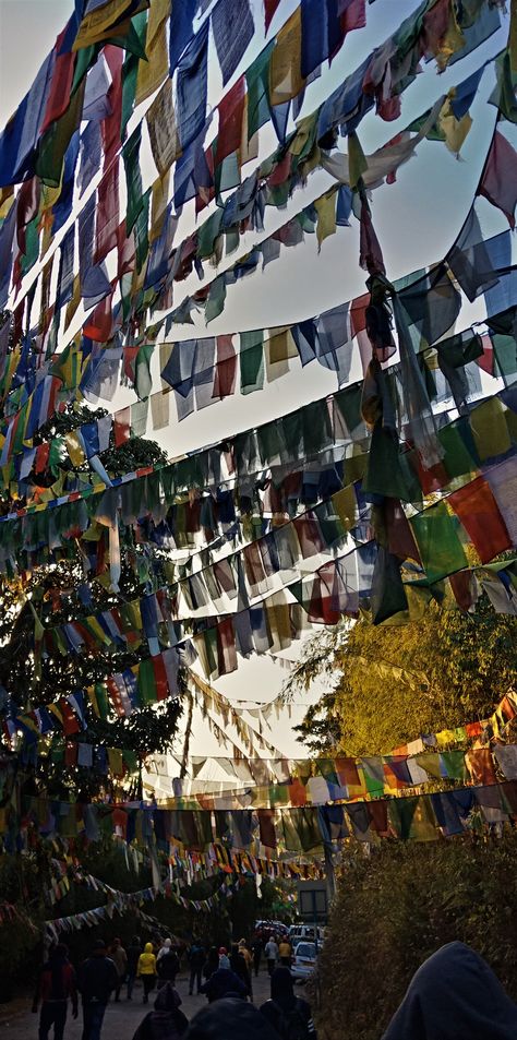 #tigerhill #darjeeling #india #prayerflag #travel Dargiling India, North India Aesthetics, North East India Aesthetics, Travel India Aesthetic, Mirik Darjeeling Photography, Darjeeling Snap, Lamahatta Darjeeling, Darjeeling Aesthetic Photos, Travel Aesthetic Indian