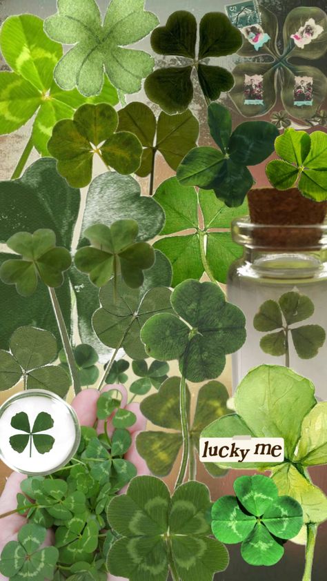 #fourleafclover #clover #lucky #aesthetic Four Leaf Clover Aesthetic, Lucky Aesthetic, Clover Aesthetic, Highlights Cover, Lucky Clover, Lucky Girl, Four Leaf, Leaf Clover, Four Leaf Clover