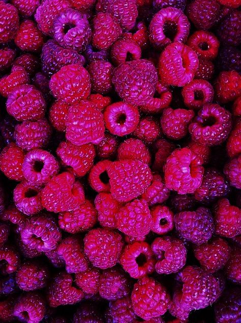 raspberries Purple Food, Purple Vibe, Purple Walls, Purple Reign, Purple Love, All Things Purple, Aesthetic Colors, Purple Rain, Purple Wallpaper