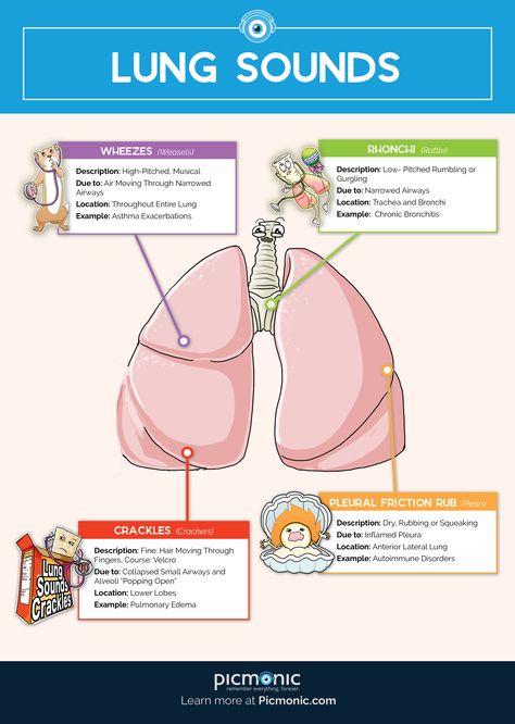 Nursing Basics, Lung Sounds, Memory Retention, Nursing Mnemonics, Nursing Student Tips, Medical Student Study, Pharmacology Nursing, Nursing School Survival, Fundamentals Of Nursing