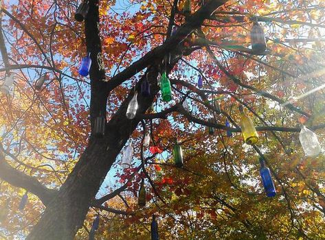 Bottle Tree Rock City Park; Olean, NY Wine Bottles Hanging From Tree, Bottles Hanging From Trees, Bottles In Trees Hanging, Outdoor Tree Decorations, Mobile Sculpture, Bottle Trees, Bottle Tree, Outdoor Trees, Wishing Tree