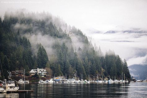 Flower Lungs, Quotes Outdoors, Camping Photography, Blogging Ideas, Cinnamon Girl, Travel Blogging, North Vancouver, Travel Outdoors, January 19