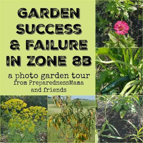 Garden success and failure in Central Texas garden zone 8b. | PreparednessMama Texas Homestead, Vegetable Garden Markers, Zone 8b, Texas Garden, Shtf Preparedness, Homesteading Diy, Backyard Garden Layout, Gardening Zones, Texas Gardening