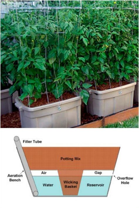 Repurposed Tote Self Watering Tomato Planters Diy Self Watering, Diy Self Watering Planter, Watering Tomatoes, Gemüseanbau In Kübeln, Tomatoes In Containers, Tomato Planter, Diy Container Gardening, Self Watering Containers, Gardening Vegetables