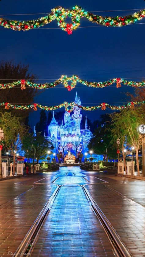 Aesthetic Wreath, Castle Wallpaper, California Christmas, Christmas Main, Disneyland Christmas, Disney World Christmas, Disney Photo Ideas, Christmas House Lights, Night Sky Painting