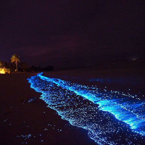 8 Most Beautiful Places In The World That Actually Exist | Journo Travel Journal Glow In The Dark Beach, Sea Sparkle, Great Blue Hole, Beach Glow, Dark Beach, Maldives Beach, Sea Of Stars, Namib Desert, Beach At Night