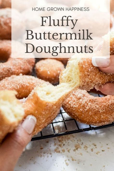 Buttermilk Doughnut Recipe, Buttermilk Donut Recipe, Buttermilk Donuts, Mini Donut Recipes, Doughnut Recipe Easy, Easy Donut Recipe, Sweet Roll Recipe, Easy Donuts, Homemade Donuts Recipe