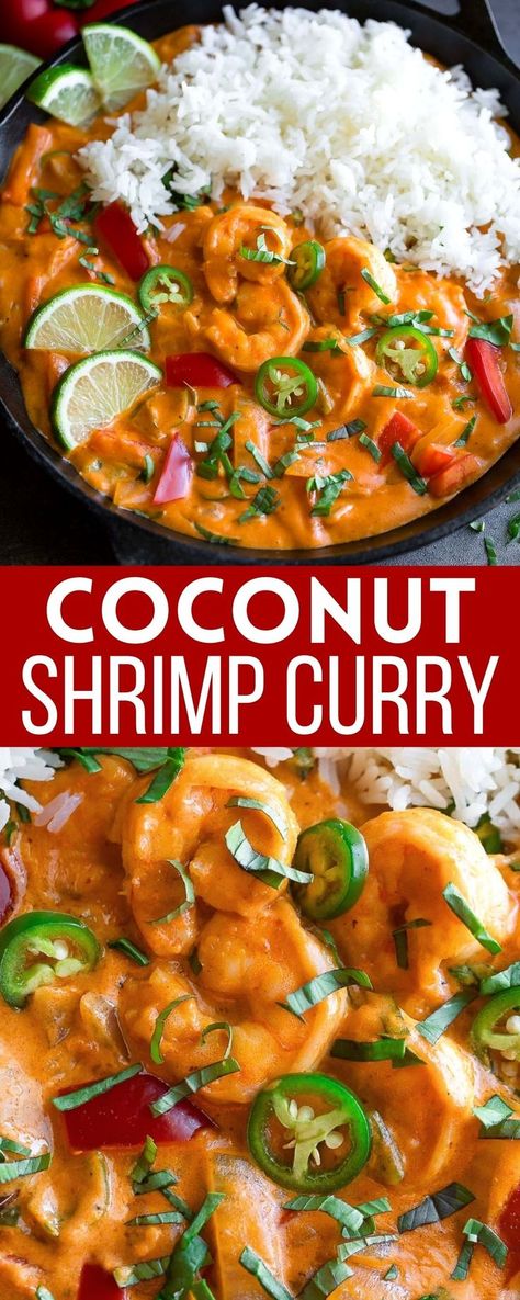 Spicy Red Curry, Red Curry Coconut Shrimp, Red Thai Coconut Curry Shrimp, Red Curry With Shrimp, Red Curry Shrimp Recipe, Spicy Shrimp Curry, Curry Recipes Shrimp, Shrimp Recipes Curry, Red Thai Curry Shrimp With Rice Noodles