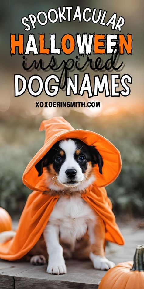 adorable puppy wearing halloween costume and title spooktacular halloween inspired dog names Names For Dogs Unique, Dog Name List, Scary Dog Names, Spooky Names, Strong Dog Names, Creative Dog Names, Girl Pet Names, Girl Dog Names Unique, Irish Baby Boy Names