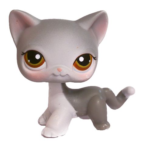 Lps Shorthair, Old Lps, Cute Lps, Lps Collection, Lps Cats, Lps Popular, Littlest Pet Shops, Lps Toys, Lps Pets