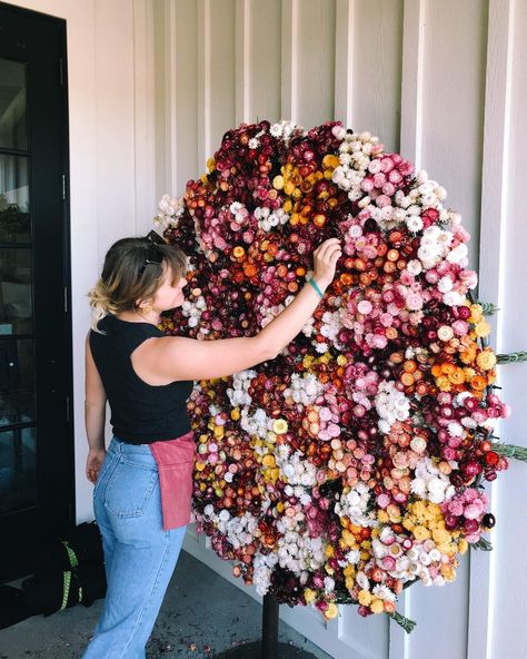 The Wreath Room on Instagram: “Strawflower appreciation post! Our strawflower failed last year, but we are starting to harvest it this year and I forgot how much I LOVE…” Straw Flower Garland, Best Dried Flowers, My First House, Flower Farming, Circular Frame, First House, Appreciation Post, Flower Garlands, Flower Farm