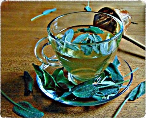 A homemade herby sage and rosemary tea. Homemade Herbal Tea, Sage And Rosemary, Tea Board, Lemon Balm Tea, Biryani Rice, Rosemary Tea, Sage Tea, Spiced Drinks, Masala Spice