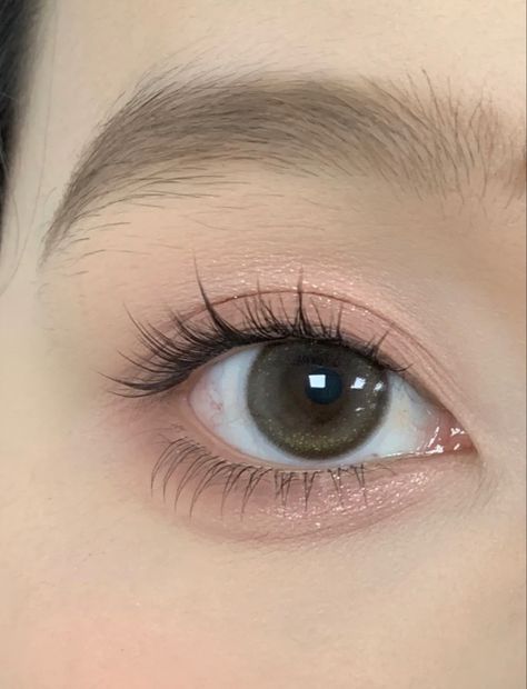 Lash Extensions Natural Asian, Japanese Eyelash Extensions, Korean Lash Extensions, Lashes Asian, Korean Eyelash Extension, Natural Fake Eyelashes, Cute Eye Makeup, Natural Eyelash Extensions, Korean Eye Makeup