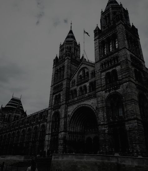 Gothic Academia Aesthetic, Gothic Architecture Aesthetic, Darkest Academia Aesthetic, Academia Aesthetic Wallpaper, Gothic Academia, Dark Academia Goth, Darkest Academia, Dark Academia Gothic, Dark Acadamia