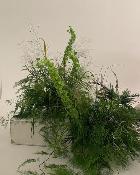 Out Of Stalk on Instagram: “Grass patch🩹 Behind the scenes for @augustman” Moss Installation, Green Ceremony, Grass Installation, Evergreen Wedding, Grass Bouquet, Greenery Arrangements, Grass Flower, Wild Grass, Flower Installation