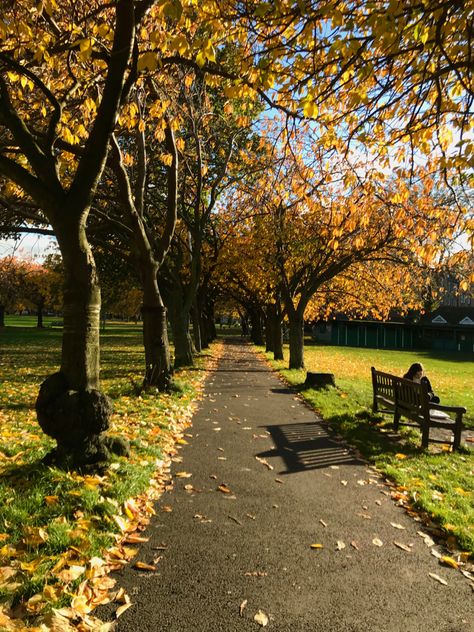 The Meadows Edinburgh, Autumn In Edinburgh, Edinburgh In Autumn, Meadows Edinburgh, Edinburgh Autumn, Edinburgh Trip, Edinburgh Aesthetic, Emily Core, British Autumn