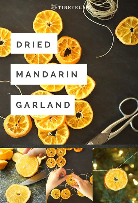 Making dried orange slices is one of the easiest winter crafts, and it hits a home run in my book for it's rustic, down-to-earth charm.  ...  Thanks to @halosfun for the wonderful California mandarins.   .  #goodchoicekid #wonderfulhalos #ad Dollar Store Crafts For Home, Homemade Garland, Dried Orange Garland, Made To Be A Momma, Garland For Christmas, Easy Winter Crafts, Natural Christmas Decor, Christmas Tunes, Homemade Christmas Decorations