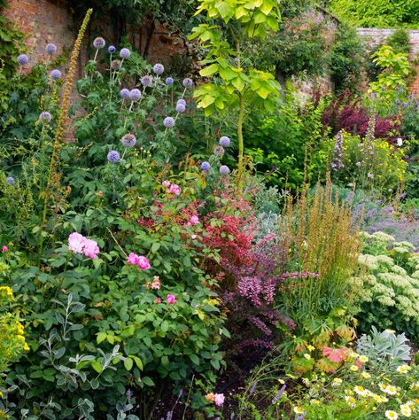 Best Garden Plants For Year-Round Colour - Flowers All Year Round All Year Round Colour Garden Uk, All Year Round Garden, Year Round Plants, Best Garden Plants, Summer Flowering Plants, Year Round Garden, Colour Flowers, Round Garden, Bamboo Lantern