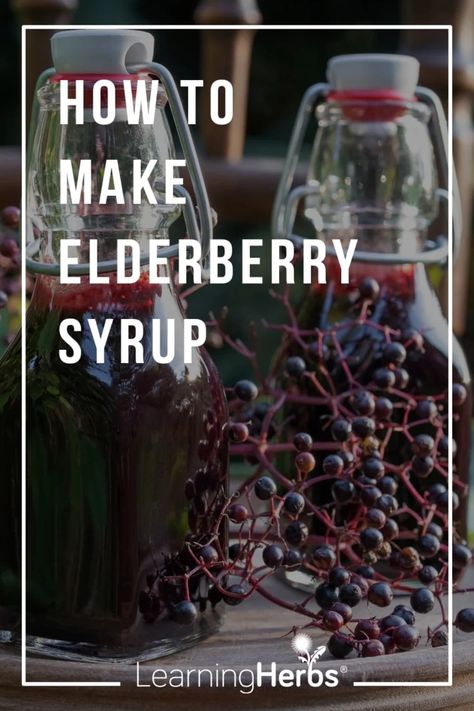 A Simple Recipe for Elderberry Syrup Elderberry Benefits, Herbs For Sleep, Elderberry Syrup Recipe, Homemade Elderberry, Elderberry Recipes, Recipe Cards Printable Free, Diy Medicine, Essential Oils For Colds, Ginger Benefits