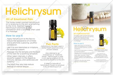 Helichrysum Essential Oil Uses Skin Care, Benefits Of Helichrysum Essential Oil, Helychrisum Essential Oil Benefits, Helichrysum Essential Oil Benefits, Helichrysum Benefits, Doterra Helichrysum, Helichrysum Essential Oil Uses, Essential Oil Meanings, Essential Oils Properties