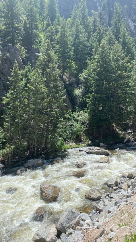 boulder colorado , cu boulder , river , pine trees , tubing Boulder Colorado Aesthetic, Colorado Aesthetic, Boulder Colorado, Colorado River, Colorado Travel, College Life, Bouldering, Colorado, Road Trip