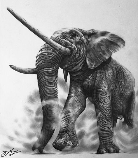 ArtStation - the real king, haris boikos Realistic Elephant Tattoo, Drawing Elephant, Elephant Painting Canvas, Elephant Sketch, Desenhos Love, Elephant Photography, Elephant Tattoo Design, Elephants Photos, Elephant Drawing