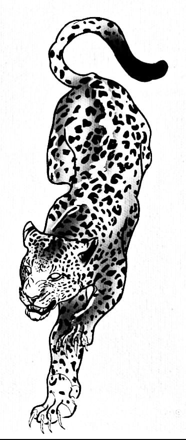 Leopard Tattoo Stencil, Clouded Leopard Tattoo, Snow Leopard Tattoo, Leopard Tattoo, Leopard Tattoos, Clouded Leopard, Tattoo Stencil, American Traditional, Snow Leopard