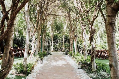 Hartley Botanica on Instagram: “Repost from @keithericksonentertainment • Venue Spotlight: Hartley Botanica 🌿 @hartleybotanica has been a family-run company since 1971,…” Hartley Botanica, Botanical Garden Wedding, Botanical Gardens Wedding, Botanical Wedding, Instagram Repost, Botanical Garden, Garden Wedding, Botanical Gardens, Wedding Venue