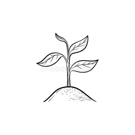 Flower Sprouting Drawing, Tree Sprout Tattoo, Plant Sprout Tattoo, Small Plant Drawing, Plant Growing Drawing, Growing Plant Tattoo, Seedling Illustration, Seedling Drawing, Seedling Tattoo