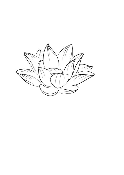 Line Art Lotus Flower, Lotus Flower Sketch Simple, Lotus Flower Pattern Design, Lotus Flower Line Tattoo, Water Lily Line Tattoo, Lotus Flower Tattoo Japanese, Lotus Outline Drawing, Lotus Flower Drawing Sketches, Lotus Flower Tattoo Drawing